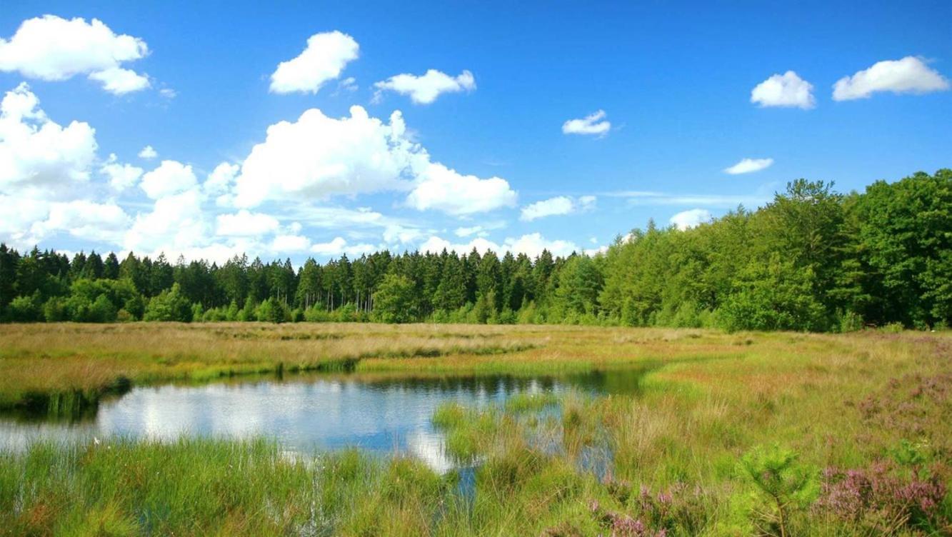Comfortabel Chalet In Nationaal Park Wateren Экстерьер фото