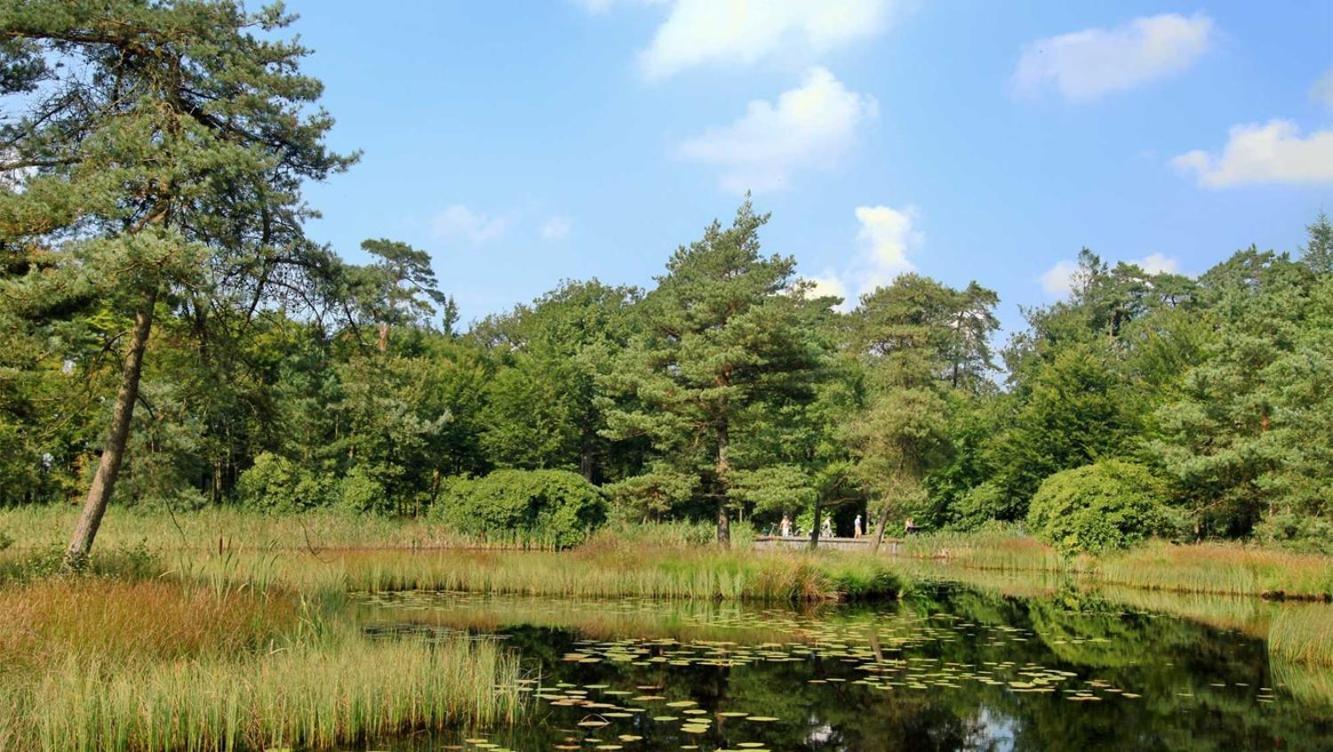 Comfortabel Chalet In Nationaal Park Wateren Экстерьер фото