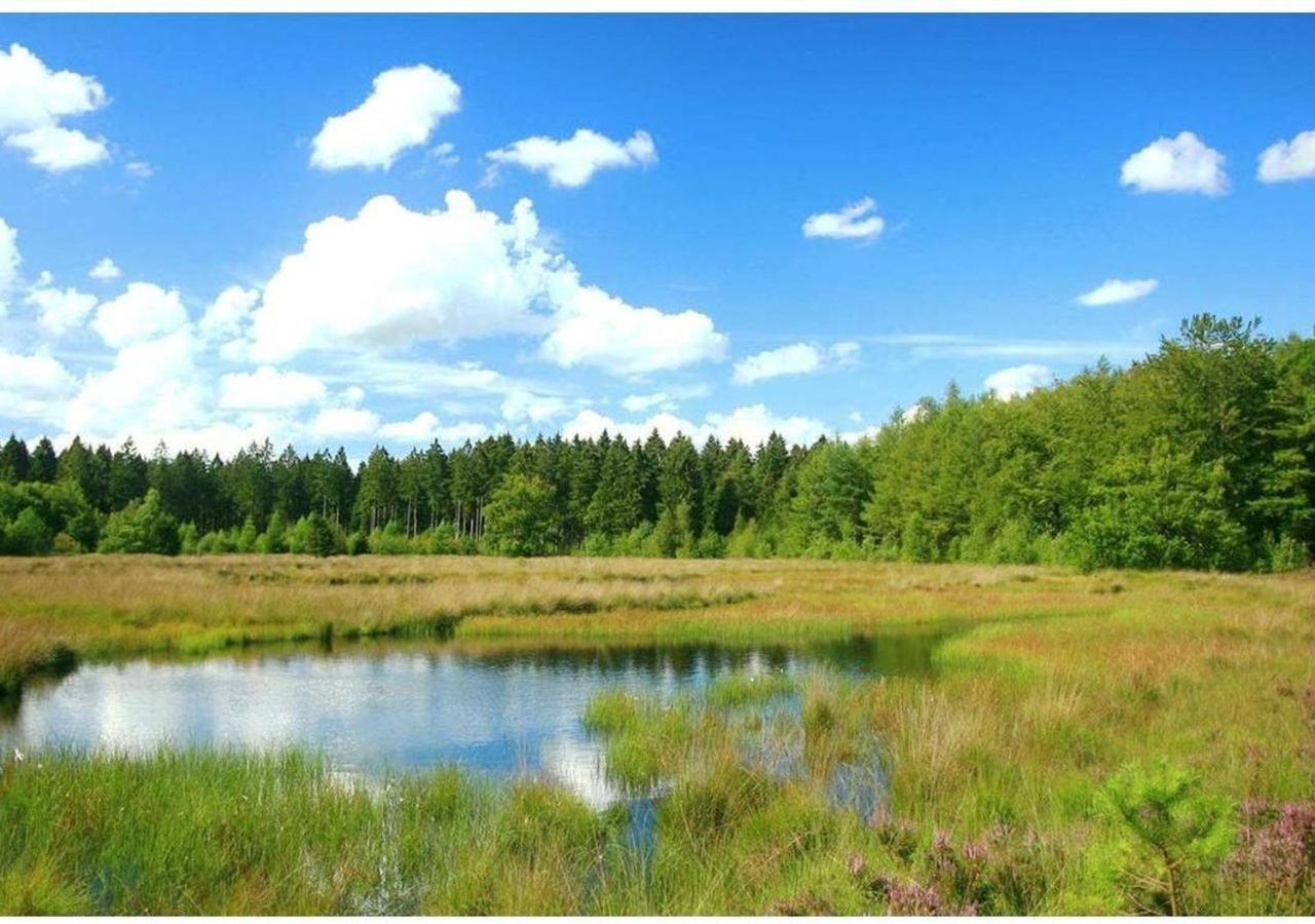 Comfortabel Chalet In Nationaal Park Wateren Экстерьер фото
